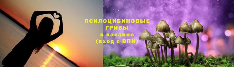 Галлюциногенные грибы Magic Shrooms  где можно купить   Аргун 